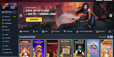 AllySpin site preview