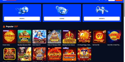 Aperçu du site FS