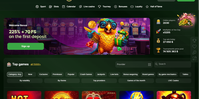 RioBet site preview