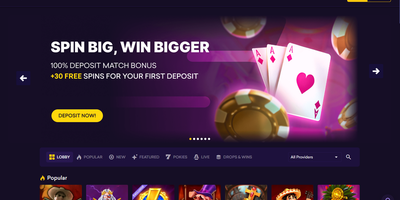 SpinBit websted forhåndsvisning